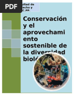 ley 26839